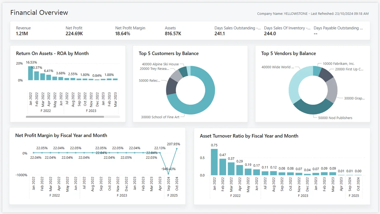 Financial Overview dashboard with revenue, net profit, margin and asset indicators, plus charts showing profitability and customer and vendor balances.